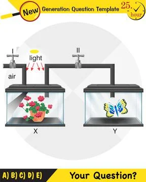 Physics, Joseph priestley's experiment Stock Illustration