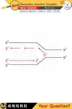 Physics, Physical concepts, High school Stock Illustration