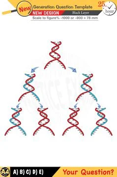 Physics, Physical concepts, High school Stock Illustration