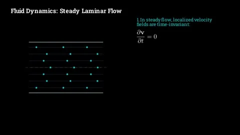 The physics of steady laminar flow Vídeo Stock 335764518