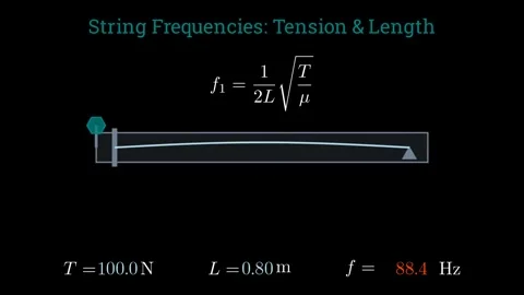 The physics of string frequencies Stock Footage 335953381