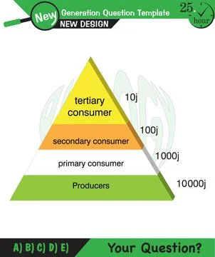 Physics, Vector Illustration of food chain Stock Illustration