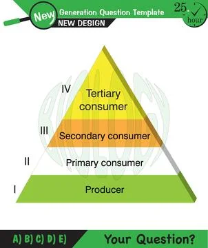 Physics, Vector Illustration of food chain Illustrazione stock