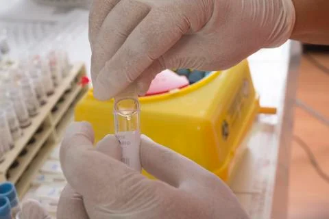 Physiological test in a lab Stock Photos