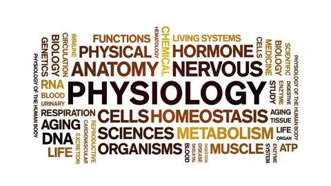Physiology animated word cloud,animation tag kinetic typography seamless loop. Stock Footage 318318482