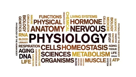 Physiology animated word cloud,animation tag kinetic typography seamless loop. Stock Footage 318318488