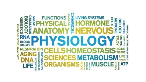 Physiology animated word cloud,animation tag kinetic typography seamless loop. Stock Footage 318318518