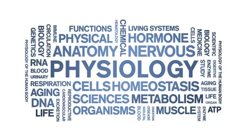 Physiology animated word cloud,animation tag kinetic typography seamless loop. Stock Footage 318318532