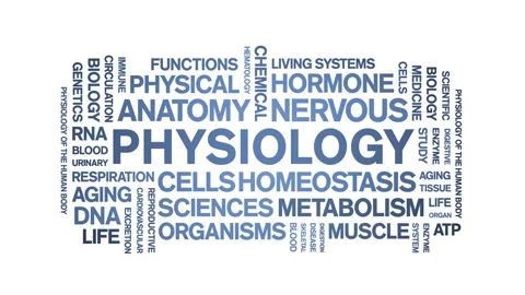 Physiology animated word cloud,animation tag kinetic typography seamless loop. Stock Footage 318318550