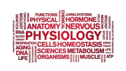 Physiology animated word cloud,animation tag kinetic typography seamless loop. Stock Footage 318318565
