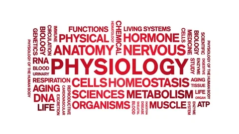 Physiology animated word cloud,animation tag kinetic typography seamless loop. Stock Footage 318318585