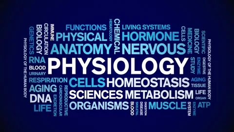 Physiology animated word cloud,animation tag kinetic typography seamless loop. Stock Footage 318318655