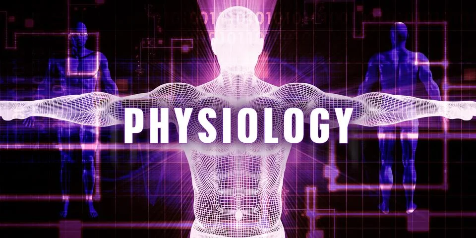 Physiology Stock Illustration