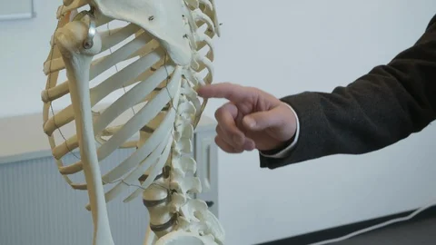 Physiotherapist Explaining the lower Spine Of a Human Skeleton for Ergonomics 스톡 동영상 118717204