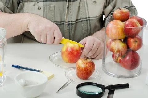 Phytocontrol expert hands cuting apple 写真素材