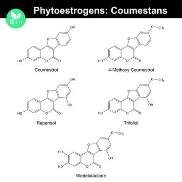 Phytoestrogens of coumestane group Stock Illustration