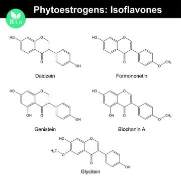 Phytoestrogens of isoflavone group Stock Illustration