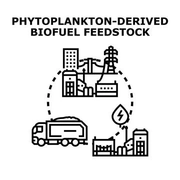 Phytoplankton derived biofuel feedstock processing technology Stock Illustration