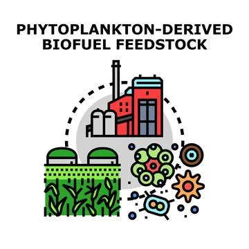 Phytoplankton derived biofuel feedstock processing alternative energy Stock Illustration