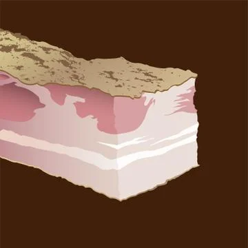 Piace of Raw pork fat bacon on a brown background Stock Illustration