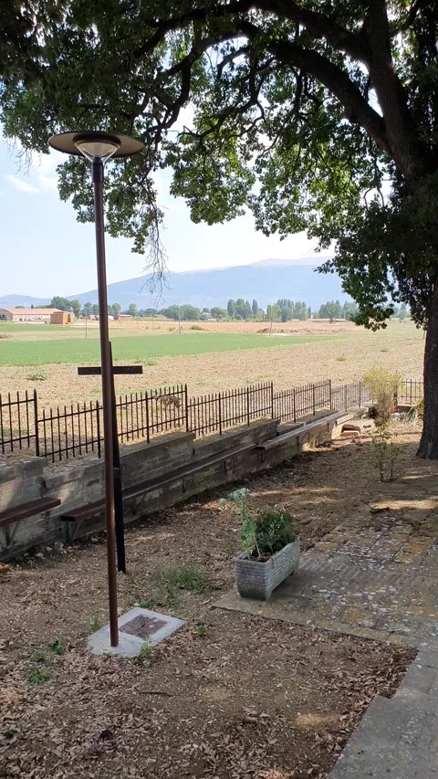 Piandarca Vídeos de archivo 137592403