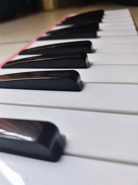 Pianika Stock Photos