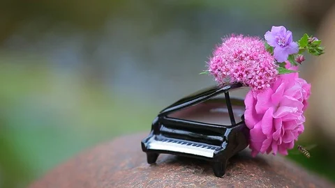 Piano flower bee river background hd footage nobody Stock Footage 110517329