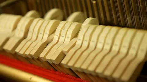 Piano Stock Footage 22243737