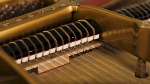 Piano hammers hitting the piano strings while a classical musician is playing Video stock 309964014