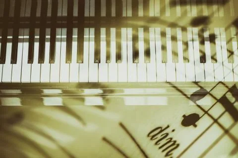 Piano keyboard background with selective focus. Blur keyboard and musical notes Stock Photos