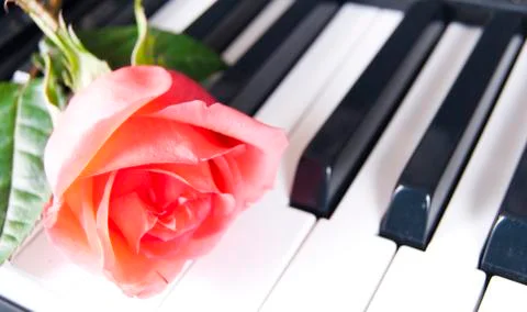Piano Stock Photos
