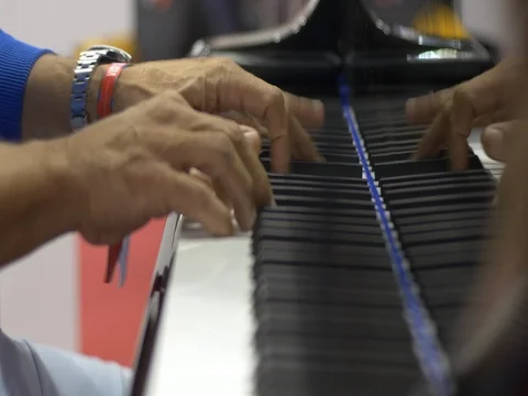 Piano Player Close Up Stock Footage 74843052