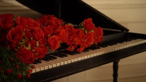 Piano with Red Roses Stock Footage 314898831