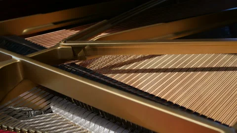 The piano strings. Video stock 133146744