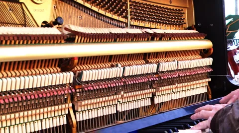 Piano venice Stock-Footage 1446294
