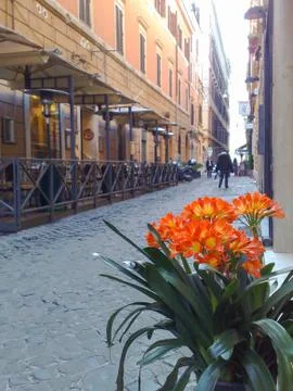Piazza di Spagna Fotos Stock