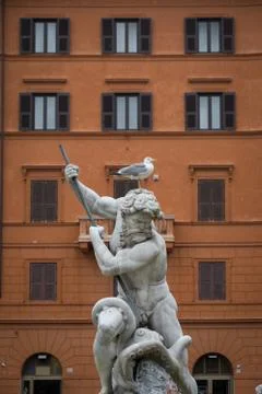 Piazza Navona and  the bird Stock Photos