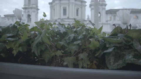 Piazza Navona seen from a window-01 Stockbeeldmateriaal 155481641