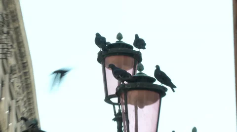 Piazza San Marco 07 Stock Footage 33035119