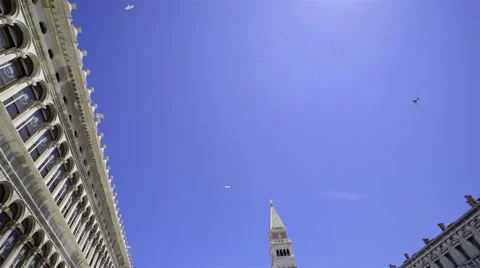 Piazza San Marco with Campanile Vidéo 66064345