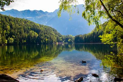 Piburger lake one Stock Photos