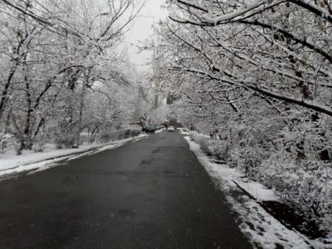 Pic of Winter Stockfoto's