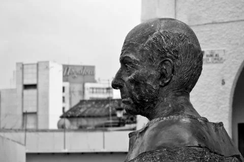 Picasso 写真素材