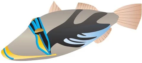 Picasso Triggerfish Stock Illustration