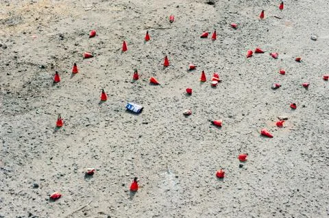 The Piccardy Stock Photos