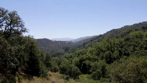 Pichetti Ranch Open Space Preserve, Cupertino, CALIFORNIA USA Video stock 250995974