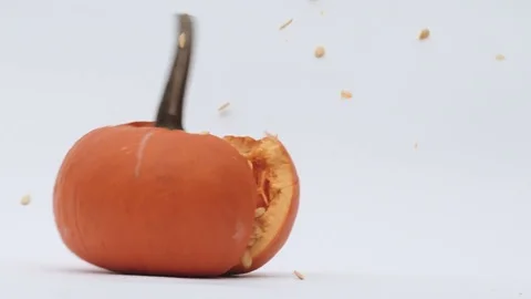 Pick Up and Slam Pumpkin on Ground Close Up Sow Motion Stock Footage 83064270