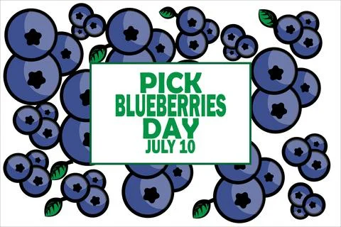 Pick Blueberries Day Vector Template Design Illustration Stock-Illustration