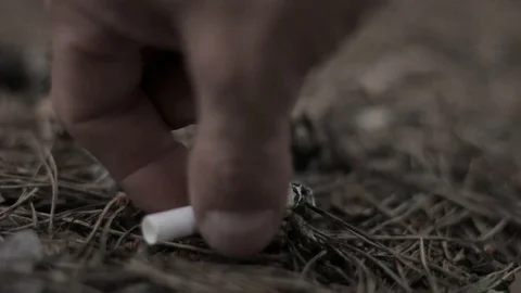 Pick up a cigarette butt in the forest Stock Footage 86740718