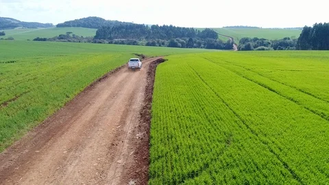 Pick-up in the country Stock Footage 121246183